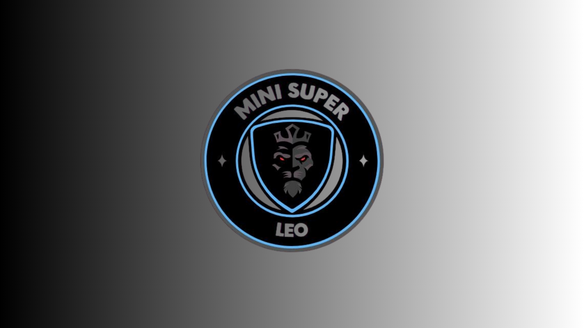MINI SUPER LEO